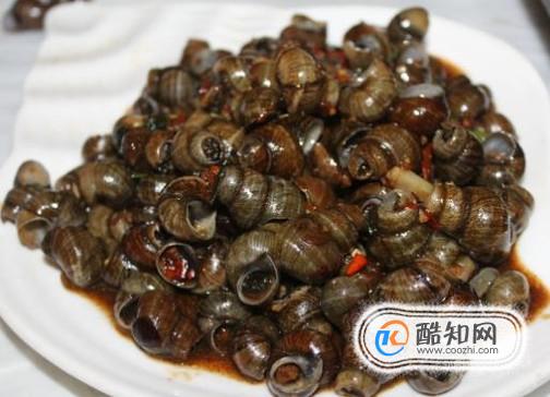 ţ�ⲻ�ܺ���Щʳ�������һ��ԣ�����